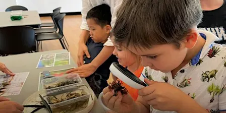 NaturallyGC Kids - Mini Marine Biologist