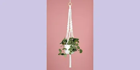 Macramé Plant Hanger Workshop with Hannah Sibai of Dear Prudence Macramé