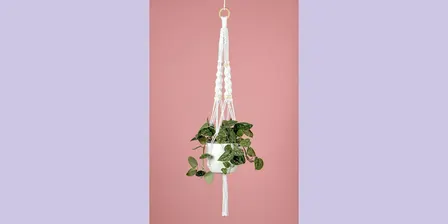 Macramé Plant Hanger Workshop with Hannah Sibai of Dear Prudence Macramé