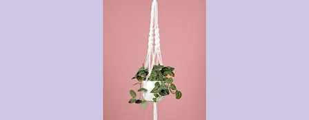 Macramé Plant Hanger Workshop with Hannah Sibai of Dear Prudence Macramé