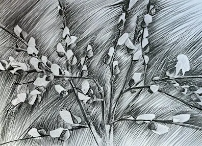 Drawing From Nature: A Two Day Course