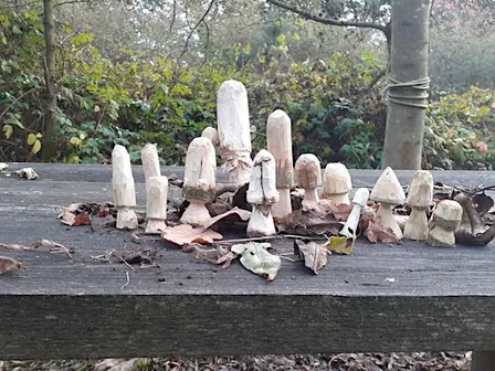 Monthly Workshop: Whittling for Beginners