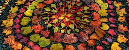 Monthly Workshop: Autumn Mandalas