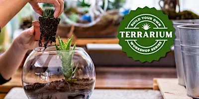 Terrarium Workshop - Succulent Edition - Build Your Own Terrarium