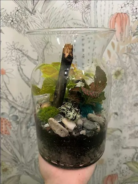 TROPICAL TERRARIUM WORKSHOP