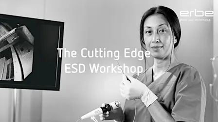 The Cutting Edge - ESD Workshop