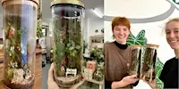 Moss Wall Terrarium Building Workshop