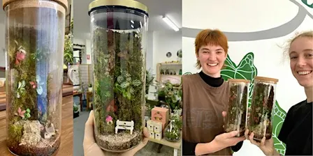 Moss Wall Terrarium Building Workshop
