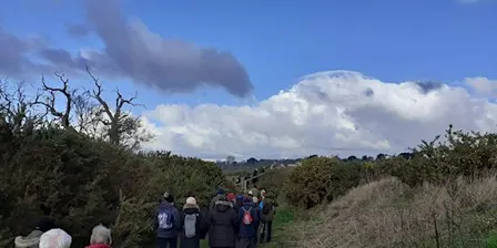 Be Inspired by Martlesham Wilds on New Year's Day! (E2P2816)