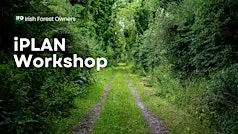 iPLAN Workshop Cork