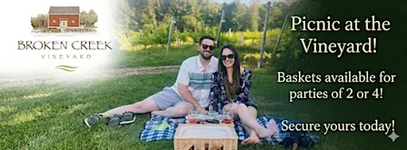 Picnic at the Vineyard!