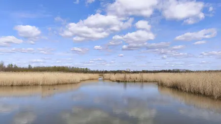 Walk and Chill Rijkerswoerdse plassen