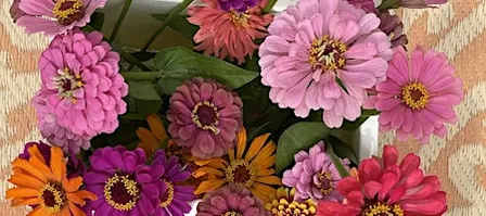Cut and Create Floral Design Workshop - September