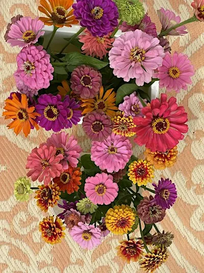 Cut and Create Floral Design Workshop - September