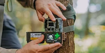 NaturallyGC Wildlife Watch
