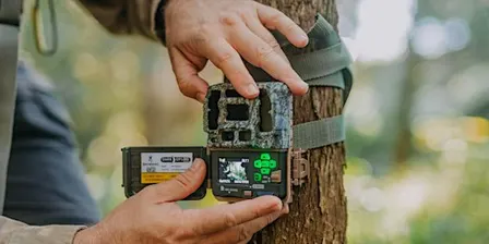 NaturallyGC Wildlife Watch