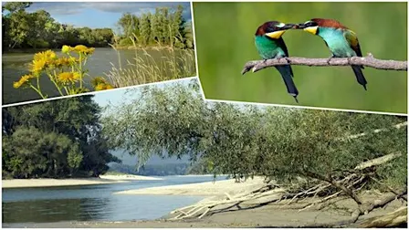 Hike & Learn XL: Hainburg Wetlands