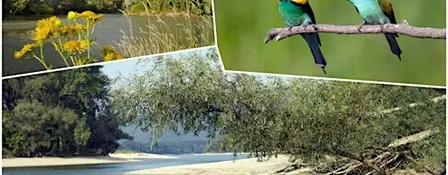 Hike & Learn: Hainburg Wetlands