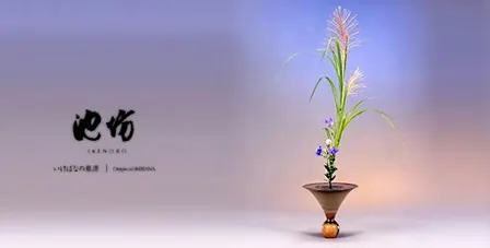 Invitation to Ikenobo Ikebana - Continuing Classes in Boulder CO -Oct 2026