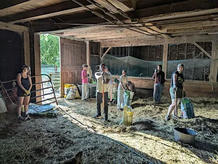 Normanskill Barn Clean Outs