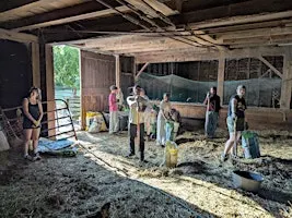 Normanskill Barn Clean Outs