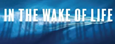In The Wake of Life Six Plays at Tree Fort Productions
