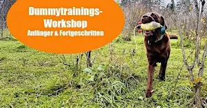 Gruppentraining Dummyarbeit