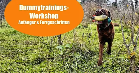 Gruppentraining Dummyarbeit