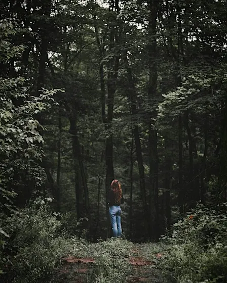 An Autumn Exhale - A Morning of Forest Bathing in the Woods