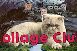 Collage Club
