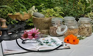 Herbal Remedy Workshop