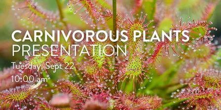 Florida's Carnivorous Plants Presentation