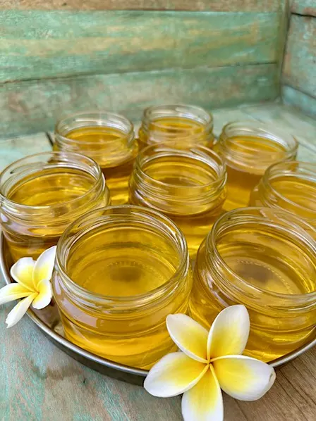 Ghee Workshop at the Lakshmi Clinic