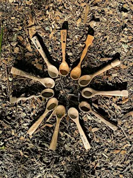 Woodland Spoon Carving by the Fire – 4hr Workshop in Stanmer Park