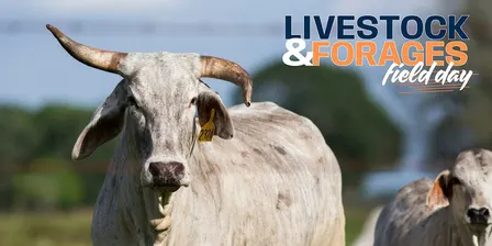 2026 Livestock and Forages Field Day SPONSORS