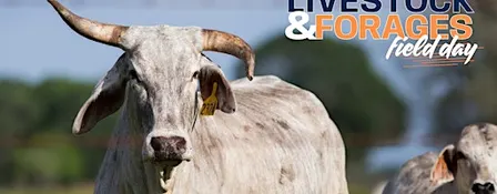 2026 Livestock and Forages Field Day SPONSORS