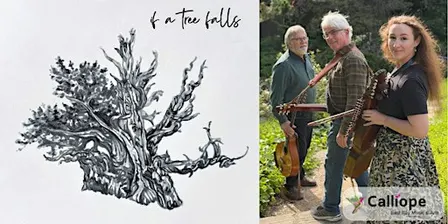 If A Tree Falls