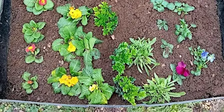Family Growing, Nature Craft Homeschool Sessions