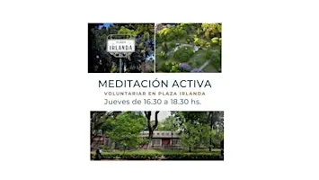 Meditación Activa (Voluntariar en la Huerta de Plaza Irlanda)