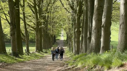 Social & Step Arnhem met de Walk Club
