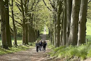 Social & Step Arnhem met de Walk Club