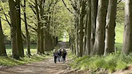 Social & Step Arnhem met de Walk Club