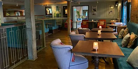 ZEST Singles Monthly Social at Browns Exeter