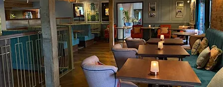 ZEST Singles Monthly Social at Browns Exeter