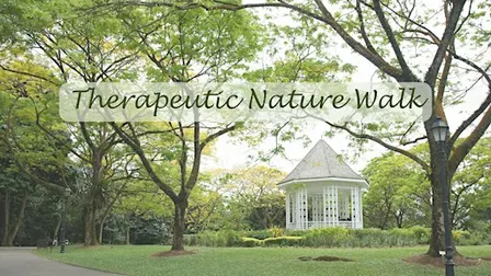 Therapeutic Nature Walk - Labrador Park