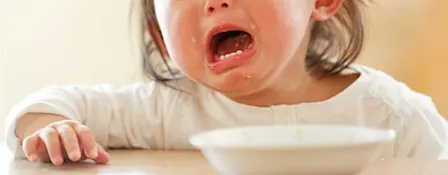 The Terrible Two : Understanding and Supporting Your Child with Care