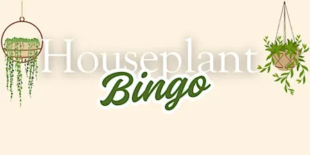 Houseplant Bingo October
