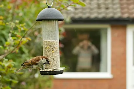Birds, Bins and a Brew November, Getting to Know your Garden Birds - Nature Discovery Centre, Friday 20 November