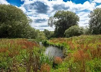 Birds and a Brew September, Rewilding - Nature Discovery Centre, Friday 30 October