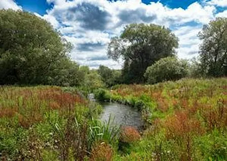 Birds and a Brew, Rewilding - Nature Discovery Centre, Friday 30 October